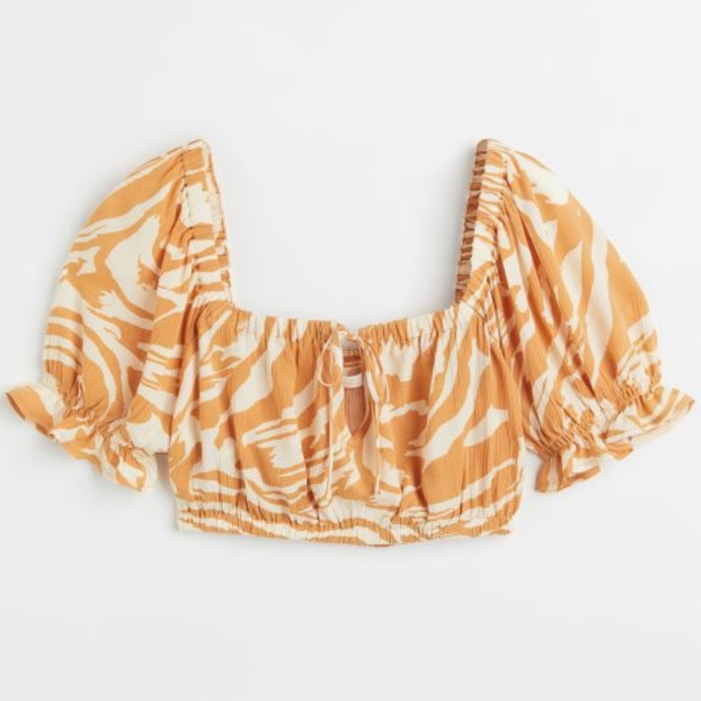 H&M Zebra Print Crop Top